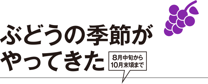 Grande Maison Vol 2 金沢 ぶどうの木 本店のご案内